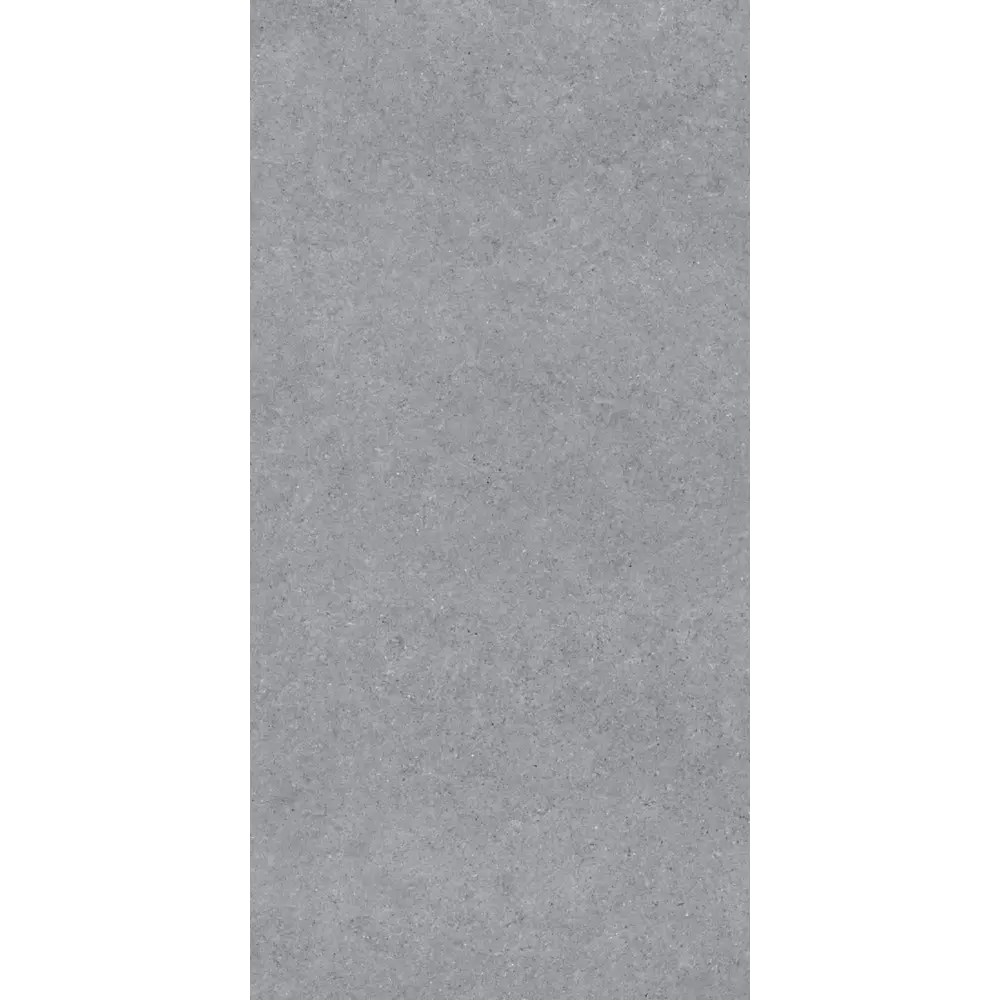 Керамогранит "Sonex" Forever Gris Matt 60x120x0.82 матовый цвет серый камень — купить в Екатеринбурге