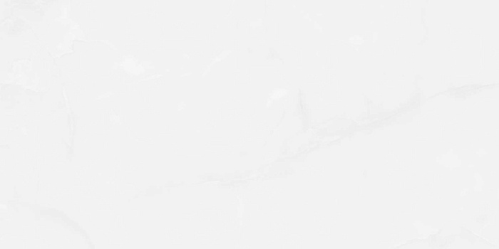 Керамогранит "Wan Sheng" Glazed (1200*600 мм) Серый D12617 — купить в Екатеринбурге